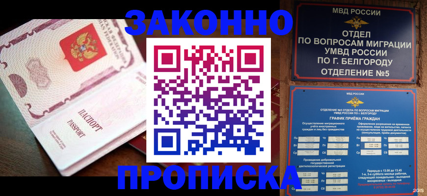 временная регистрация для школы в Курчалом